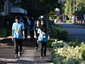 Tn dsc 6508